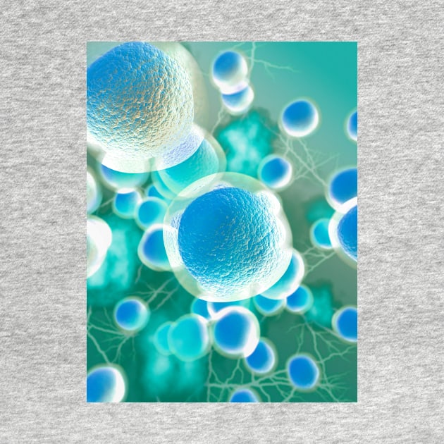 Stem cells, illustration (C029/2566) by SciencePhoto